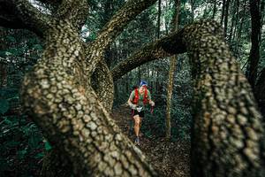 BIB: 
                            <button type="button" onclick="openModal(25394125)" class="btn btn-primary btn-sm float-right btn-popup" data-toggle="modal" data-target=".modal-high-quality">
                        <i class="fas fa-shopping-cart"></i> Add to Cart
                    </button>
                                            <button type="button" onclick="isThisMe(25394125, true)" class="btn btn-success btn-sm float-right btn-popup btn-isme hidden" data-toggle="tooltip" data-placement="bottom" title="นี่คือรูปของคุณใช่ไหม คลิกที่นี่เพื่อเอาเข้าอัลบั้ม">
                        <i class="fas fa-plus"></i> Add to album
                    </button>
                    <button type="button" onclick="isThisMe(25394125, false)" class="btn btn-warning btn-sm float-right btn-popup btn-isnotme hidden">
                        <i class="fas fa-ban"></i> Remove from album
                    </button>